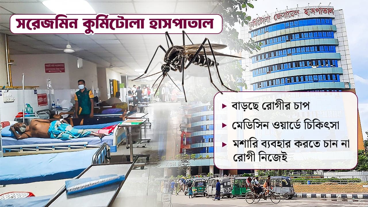প্রতিদিনই বাড়ছে রোগী, মশারি থাকলেও ব্যবহার করেন না রোগী!Image